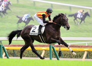 【注目馬動向】絶好調のエフフォーリア産駒が芙蓉Ｓへ　叔父にクロワデュノールがいるジョドレルバンクの次走候補に