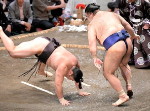 【４日目の見所】綱取りの霧島と大関を狙う熱海富士は連敗だけは許されない　ともに分岐点の一番