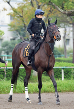 【毎日王冠・高野の特注馬】堅実な走りが魅力のライヒスアドラー　秋の飛躍に向けて初タイトル獲得へ