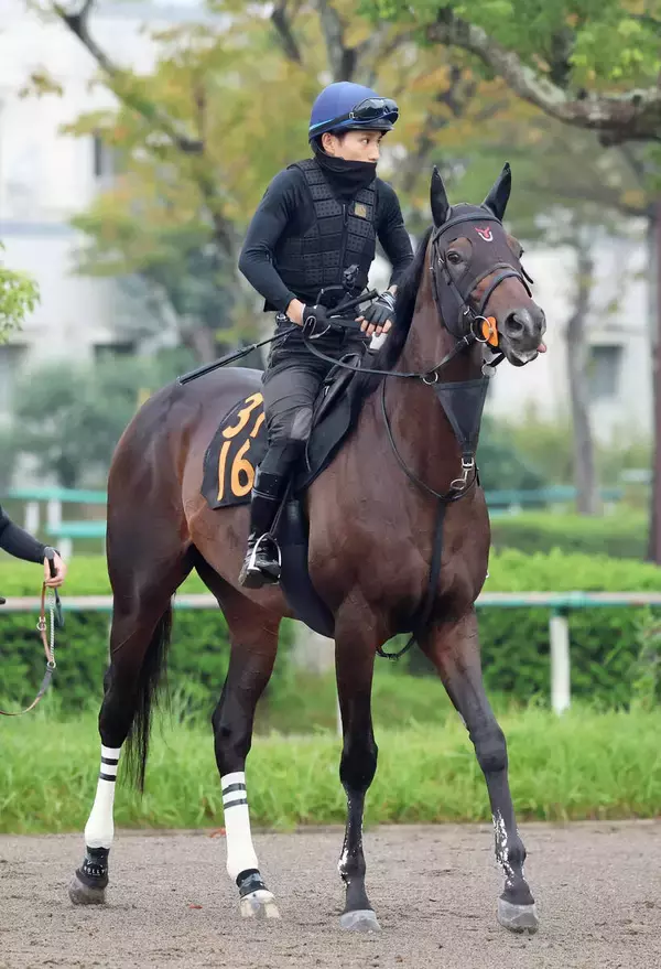【毎日王冠・高野の特注馬】堅実な走りが魅力のライヒスアドラー　秋の飛躍に向けて初タイトル獲得へ