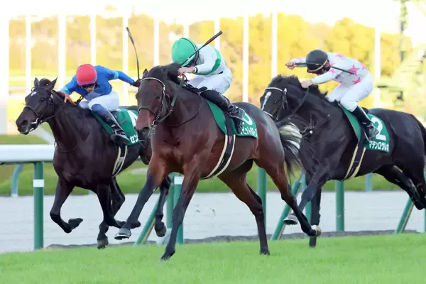 【鳴尾記念】デビットバローズ重賞初タイトル　岩田望は「これで負けたら仕方ないと思えるぐらいの強い勝ち方」