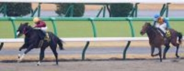 【中山１０Ｒ・師走Ｓ】トップハンデもなんのその！　ブライアンセンスが６馬身差の圧勝　岩田望来騎手「強い競馬」