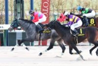 【京都１１Ｒ・すばるＳ】キタノズエッジが直線で突き抜けオープン初勝利　古川吉洋騎手「最後はいい脚でした」