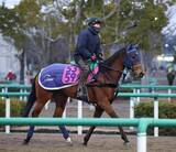 「月曜京都競馬場の注目激走馬…京都１１Ｒシンザン記念・Ｇ３」の画像1