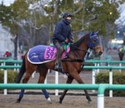 月曜京都競馬場の注目激走馬…京都１１Ｒシンザン記念・Ｇ３