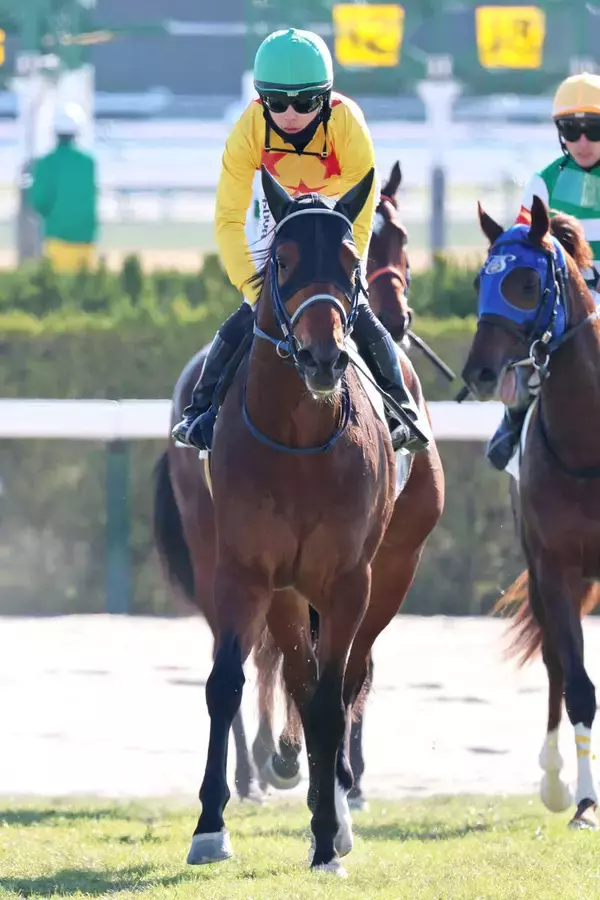 「昨夜飲み過ぎて...」「ウチでずっと寝てた」２番人気で大敗した珍名馬でＳＮＳ上は大喜利状態　ボクマダネムイヨは８着