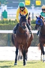 「昨夜飲み過ぎて...」「ウチでずっと寝てた」２番人気で大敗した珍名馬でＳＮＳ上は大喜利状態　ボクマダネムイヨは８着