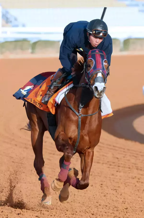 【リヤドダートスプリント】しぶとく粘ったアメリカンステージは４着　矢作調教師「ドバイから招待も来ると思うので」