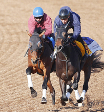 【金鯱賞１週前】重賞４連続２着のドゥラドーレスはゴール後もびっしり　宮田調教師「これで上がってきてくれれば」