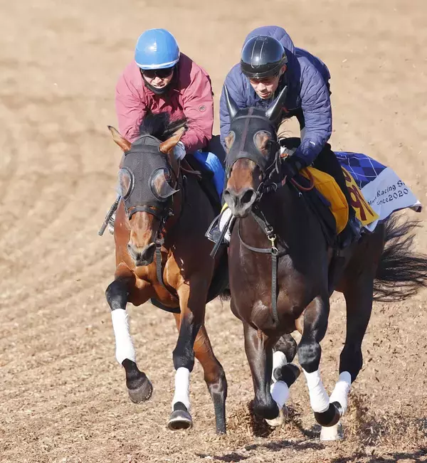 【金鯱賞１週前】重賞４連続２着のドゥラドーレスはゴール後もびっしり　宮田調教師「これで上がってきてくれれば」