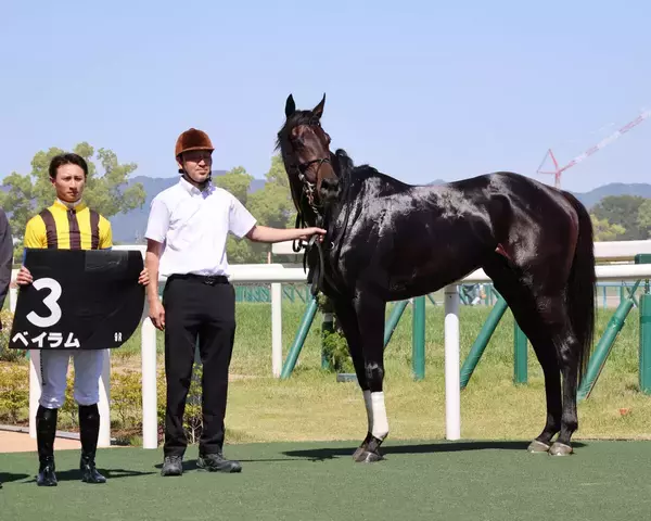 【京都９Ｒ・白川特別】２６年ぶりコースレコード！　吉村誠之助騎手騎乗のベイラムが０秒４更新する２分２２秒２でＶ