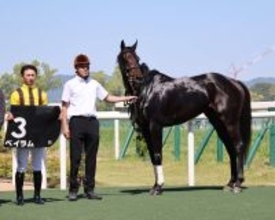 【京都９Ｒ・白川特別】２６年ぶりコースレコード！　吉村誠之助騎手騎乗のベイラムが０秒４更新する２分２２秒２でＶ