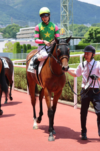 新馬戦初日に早くもクラシック候補が爆誕！「これ桜花賞馬でしょ」「名牝の可能性」　ジーティーサクラにネット騒然
