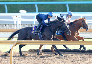 【宝塚記念・松ケ下が見た】気になる仕上がりは？　春グランプリ担当記者として見続けてきたクロワデュノールの状態　