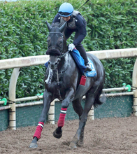 【オールカマー】宝塚記念８着のジューンテイクは武豊騎手と３戦ぶりのコンビ　陣営「休み明けでも特に問題はない」