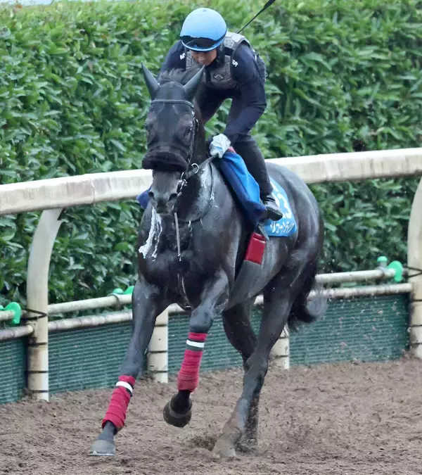 【オールカマー】宝塚記念８着のジューンテイクは武豊騎手と３戦ぶりのコンビ　陣営「休み明けでも特に問題はない」