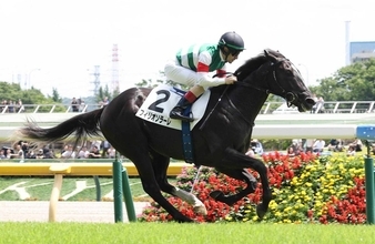 【注目馬動向】６月の新馬戦を快勝したフィリオソラーレはサウジアラビアロイヤルＣへ　キャロットクラブが発表
