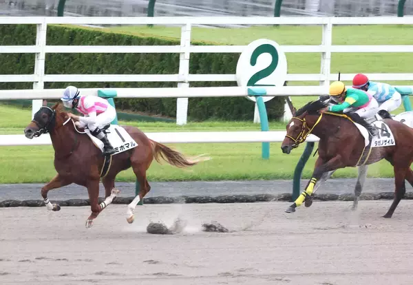 【京都３Ｒ・２歳新馬】関東馬ミホマルが外から差し切る　横山和生騎手「今日のレースぶりから…」