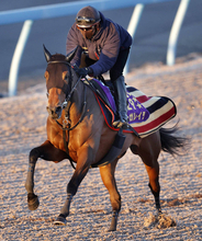 【有馬記念２週前】ファン投票１位のレガレイラがＷコースで順調アピール　陣営「しっかり時計を出せた」