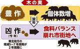 「【プレーバック２０２５】過去最多９７６５頭駆除、クマ被害が増えたワケ･･･ハンターらが実情語る」の画像1