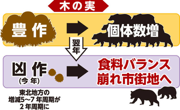 【プレーバック２０２５】過去最多９７６５頭駆除、クマ被害が増えたワケ･･･ハンターらが実情語る