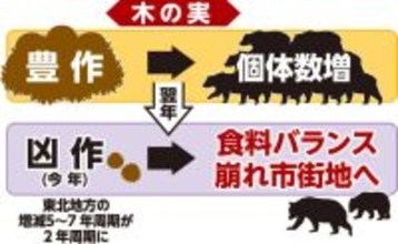 【プレーバック２０２５】過去最多９７６５頭駆除、クマ被害が増えたワケ･･･ハンターらが実情語る