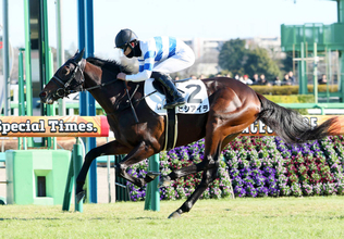 【中山８Ｒ・３歳１勝クラス】「いいスプリンターになりそうな予感」池江調教師絶賛のヒシアイラが逃走Ｖ　