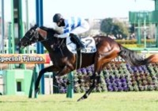 【中山８Ｒ・３歳１勝クラス】「いいスプリンターになりそうな予感」池江調教師絶賛のヒシアイラが逃走Ｖ　