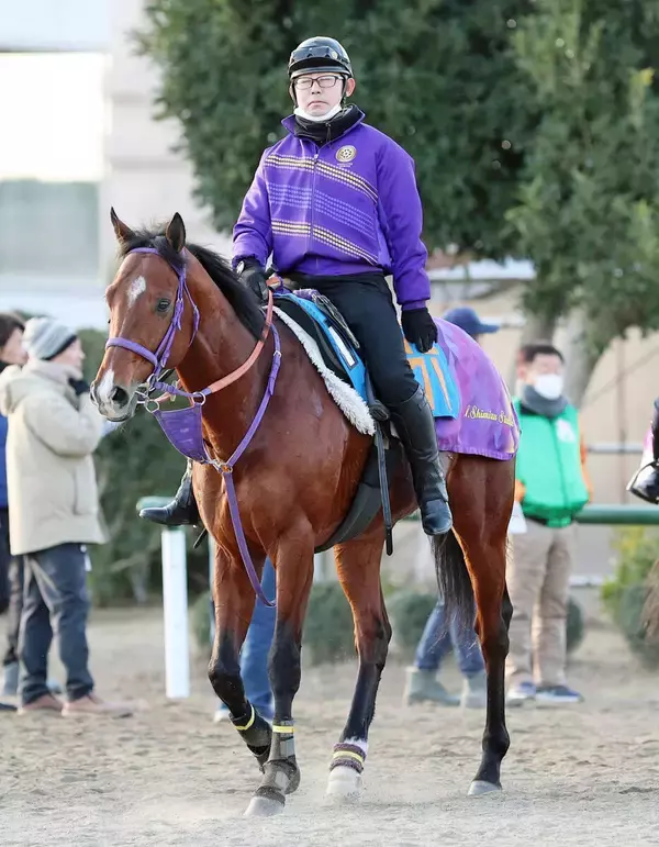 【ＡＪＣＣ・浅子の特注馬】ディマイザキッドは距離短縮で反撃　５馬身差圧勝の舞台で重賞初制覇へ