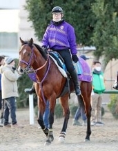 【ＡＪＣＣ・浅子の特注馬】ディマイザキッドは距離短縮で反撃　５馬身差圧勝の舞台で重賞初制覇へ