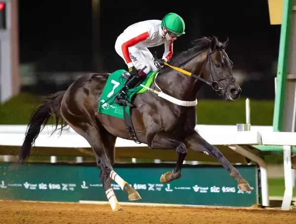 【サウジＣ】地元のスターオブワンダーが出走取り消し　今年は１３頭立てに