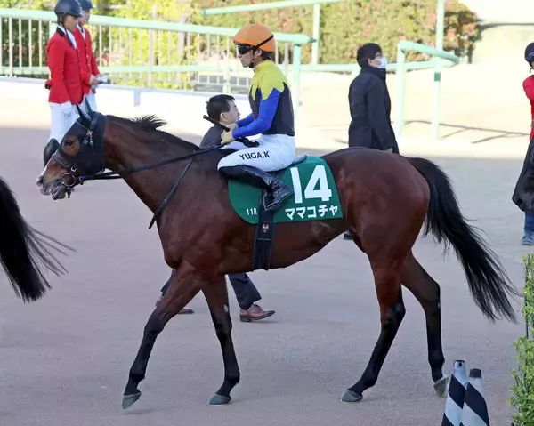 【オーシャンＳ】ママコチャは４着　レース史上初の連覇ならず　川田将雅騎手「最後まで精一杯がんばっています」
