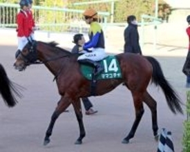 【オーシャンＳ】ママコチャは４着　レース史上初の連覇ならず　川田将雅騎手「●」