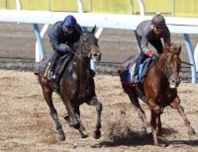 【報知杯弥生賞】１週前から急上昇したライヒスアドラーに上原佑調教師も好感触「満足のいく追い切りでした」