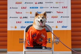 【Ｊ１清水】「ワンファミリー！！」ＤＦ蓮川壮大の愛犬・茶々がプロ契約締結　最短出場は５日の長崎戦　４月１日の発表だけに…