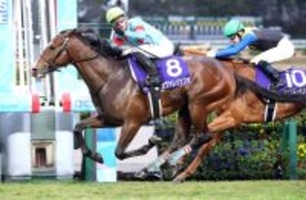 【皐月賞】朝日杯ＦＳからの初連勝に挑むカヴァレリッツォ　高速化に対応できるスピードあり偉業達成の可能性は十分