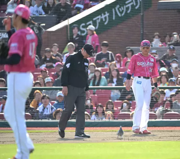 【西武】０―０から一転…延長１０回にハト出現で３点勝ち越し　西口文也監督も笑顔「幸運を運んできてくれたのかな」