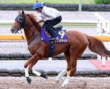 「【宝塚記念】先輩ダービー馬の意地見せる！ダノンデサイルに好気配漂う　馬具の効果もあり大阪杯の逆転狙う」の画像1