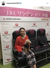 浅田真央さんが愛犬・エアロの三回忌を報告「愛は永遠に...」アイスショーやＣＭで共演