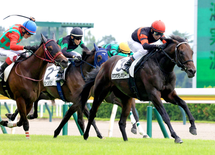 【新潟２Ｒ・２歳新馬】２億円馬ホウオウモノポリーが圧倒的１番人気に応える　戸崎圭太騎手も絶賛「申し分ない」