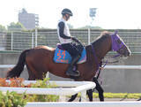 「【エルムＳ】復活を目指す２冠馬ナチュラルライズは併せ馬で先着も…　横山武史騎手は慎重「きつい戦いになる」」の画像1