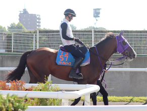 【エルムＳ】復活を目指す２冠馬ナチュラルライズは併せ馬で先着も…　横山武史騎手は慎重「きつい戦いになる」