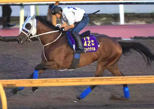 【注目馬動向】武豊騎手と挑む凱旋門賞に向けてメイショウタバルが帰厩後の初時計　石橋調教師「遅い時計でもしっかり抑えが利いた」