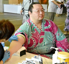 名古屋場所全休の十両・白鷹山が健康診断を受診　右アキレス腱断裂から初場所での復帰を目指す「強くなって戻ってきて、今度こそ幕内に」