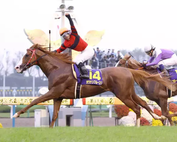 内田博幸騎手がオウケンブルースリを悼む　２００８年の菊花賞をコンビで制覇「思い出に残る１頭で、支えてくれた馬」
