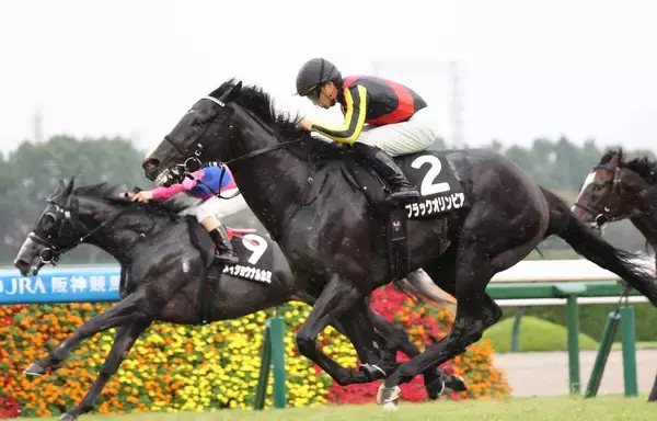 【阪神９Ｒ・兵庫特別】青葉賞３着馬ブラックオリンピアが１・３倍の断然人気に応える　川田将雅騎手「徐々に中身も…」