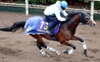 【有馬記念】「１番は僕にも縁起がいい」最内枠にトーン上がる今野調教師が抽選前の荻野極騎手にかけた言葉とは