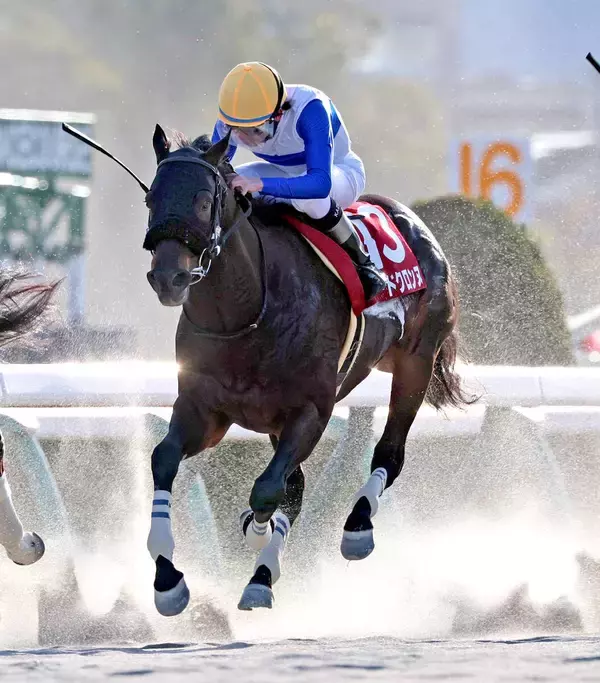 【注目馬動向】プロキオンＳで重賞初ＶのロードクロンヌはフェブラリーＳ参戦を正式表明　僚馬ソルパッサーレはチューリップ賞