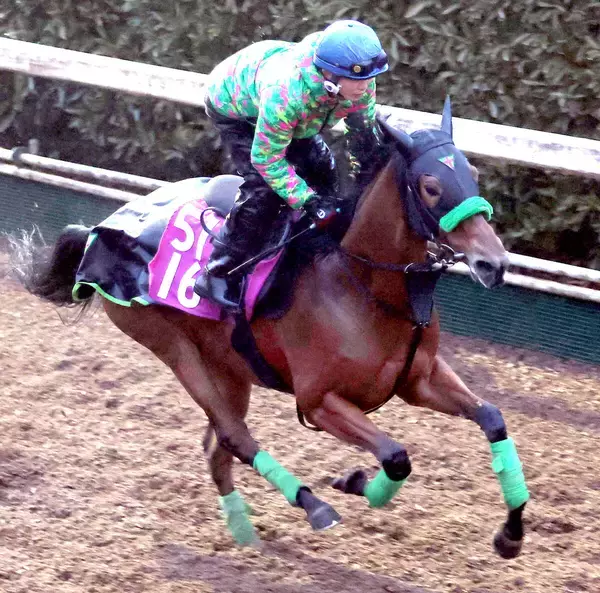 【クイーンＣ】ここでは負けられないギャラボーグ　阪神ＪＦ２着馬に杉山晴調教師「すごく走るんじゃないかと」