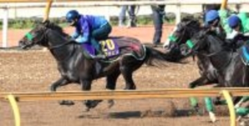 【皐月賞・１週前】Ｇ１馬ロブチェンが３頭併せで最先着　杉山晴調教師「やっぱりポテンシャルが高い」
